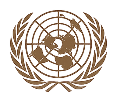 United Nations committee mark